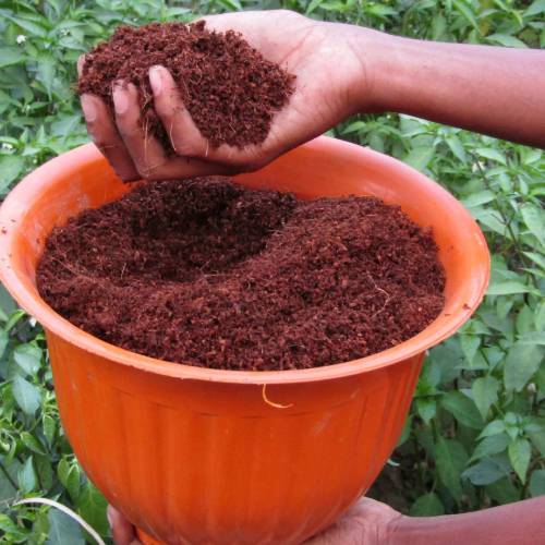 Cocopeat