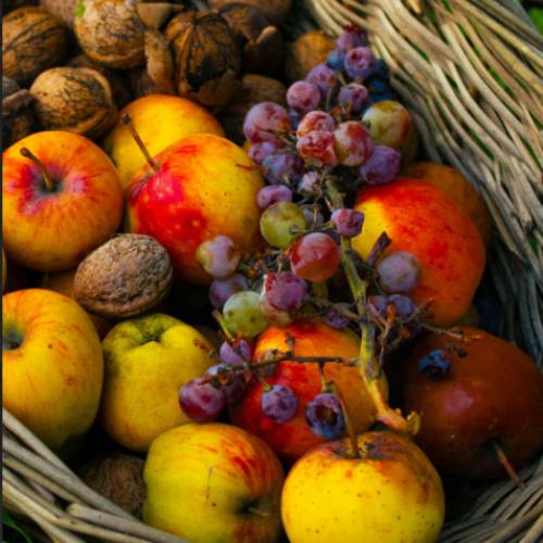Fresh Fruits